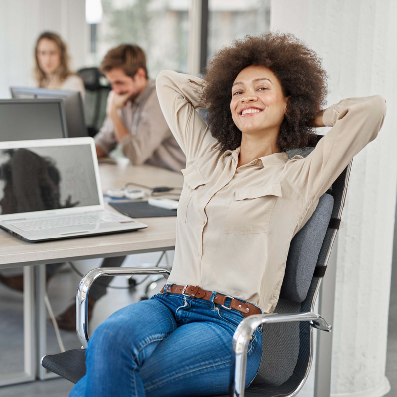 Pawsture - Pillow Bundle