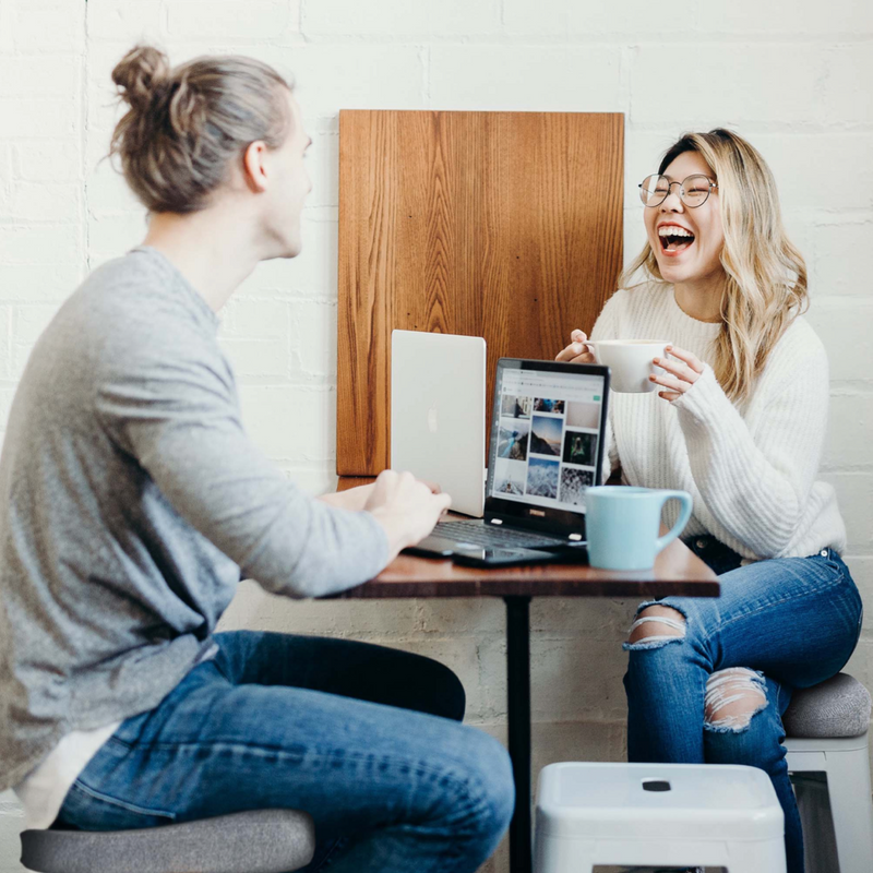 Pawsture - Pillow Bundle